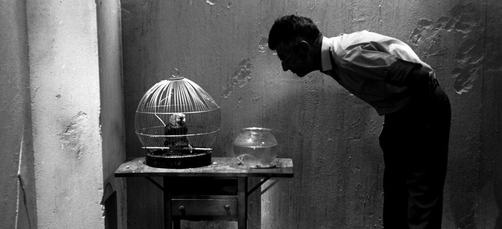 Beckett