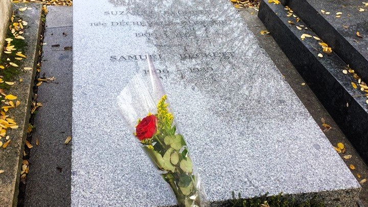 Una rosa per samuel beckett