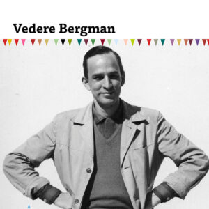 Vedere Bergman