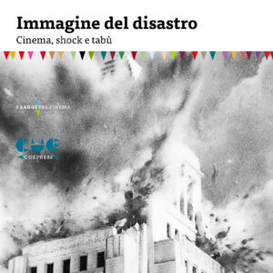 Immagine del disastro