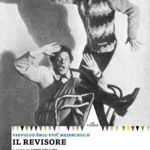 Il revisore